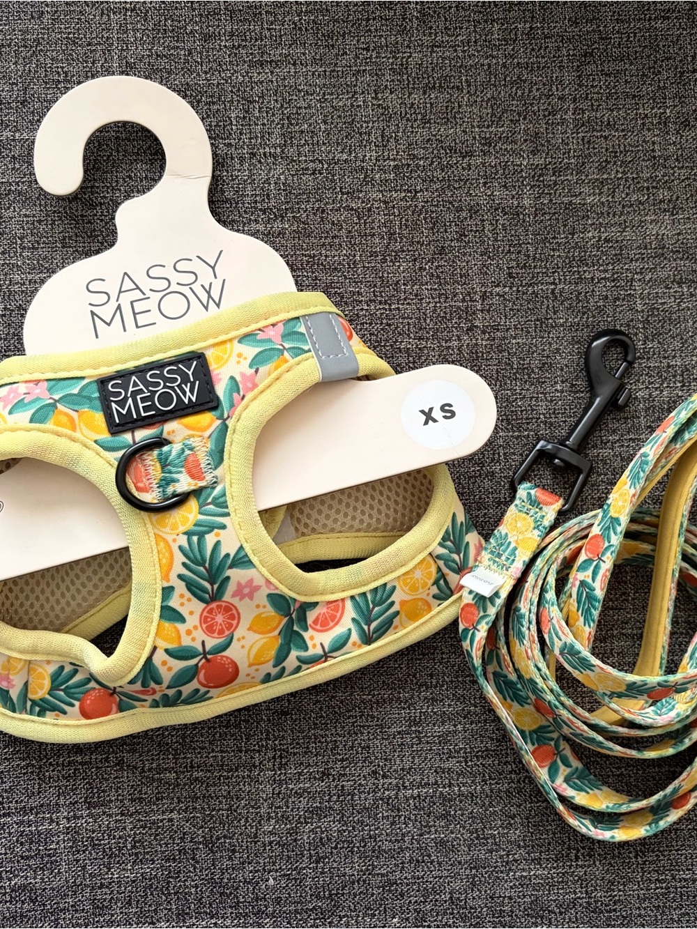 NWT XS Sassy Meow Harness & Leash